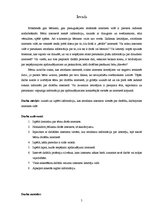 Referāts 'Drošs internets', 5.