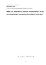 Referāts 'Drošs internets', 6.