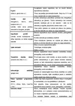 Referāts 'Drošs internets', 11.