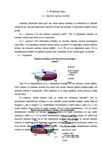 Referāts 'Drošs internets', 22.