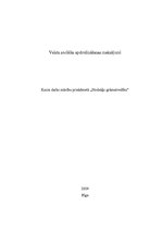 Referāts 'Valsts sociālās apdrošināšanas maksājumi', 1.