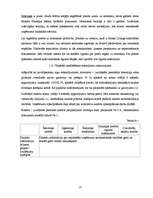 Prakses atskaite 'Prakses atskaite AS "Hansabanka"', 17.