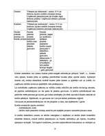 Prakses atskaite 'Prakses atskaite AS "Hansabanka"', 18.