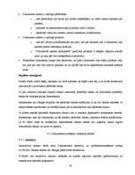 Prakses atskaite 'Prakses atskaite AS "Hansabanka"', 60.