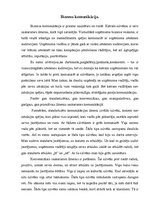 Eseja 'Biznesa komunikācija', 1.