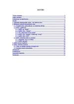 Referāts 'Speciālās ekonomiskās zonas un to nodokļu politika: Rēzeknes speciālā ekonomiskā', 2.