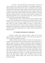 Prakses atskaite 'Prakse uzņēmumā SIA "Lokis"', 7.