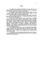 Referāts 'Kursa darbs mārketingā', 2.