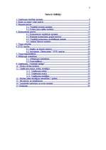 Referāts 'Kursa darbs mārketingā', 3.