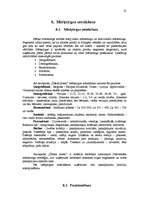 Referāts 'Kursa darbs mārketingā', 25.