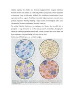 Referāts 'Baktēriju nozīme cilvēku dzīvē un dabā', 3.