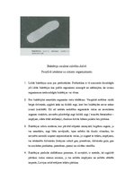 Referāts 'Baktēriju nozīme cilvēku dzīvē un dabā', 4.