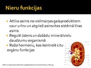 Prezentācija 'Transplantācija kā dzīvības pagarināšanas veids', 2.