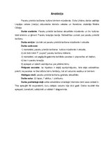 Referāts 'Pasaku priekšā lasīšanas kultūra bērniem mūsdienās', 3.