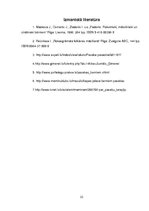 Referāts 'Pasaku priekšā lasīšanas kultūra bērniem mūsdienās', 22.