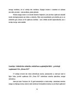 Referāts 'Sabiedrisko attiecību kopīgās un atšķirīgās iezīmes valsts un privātajā sektorā ', 30.