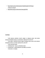 Referāts 'Sabiedrisko attiecību kopīgās un atšķirīgās iezīmes valsts un privātajā sektorā ', 38.