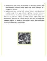 Referāts 'Japāna pēc Otrā pasaules kara ', 6.