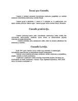 Referāts 'Consolis ', 1.
