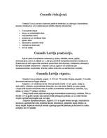 Referāts 'Consolis ', 2.