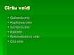 Prezentācija 'Ciršu veidi', 2.