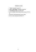 Referāts 'Melnie caurumi', 23.