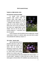 Referāts 'Meža lakstaugu pielietošana apstādījumos', 6.