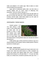 Referāts 'Meža lakstaugu pielietošana apstādījumos', 7.