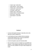 Referāts 'Meža lakstaugu pielietošana apstādījumos', 14.