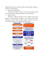 Referāts 'Dzelzceļa avārija Jēkabpilī, bīstamas vielas noplūde', 15.