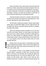 Referāts 'Žargons internetā', 6.