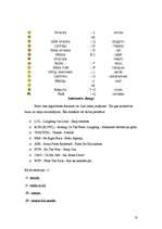 Referāts 'Žargons internetā', 13.