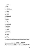 Referāts 'Žargons internetā', 14.