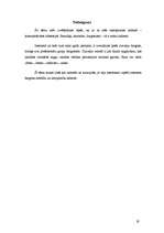 Referāts 'Žargons internetā', 19.