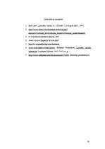 Referāts 'Žargons internetā', 20.