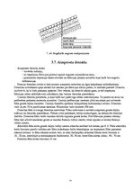 Paraugs 'Hidrotehniskās būves - dambis', 14.