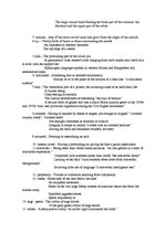 Eseja 'The Human’s Face', 3.