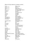 Referāts 'Angļu valodas ietekme uz dažādām valodām: pašreizējā situācija, sekas, perspektī', 20.