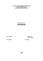 Eseja 'Mācīšanās', 1.