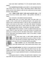 Referāts 'Kompozīcijas izteiksmes līdzeklis - līnija', 3.