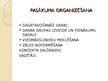 Prezentācija 'Pasākumu organizēšana skolā', 7.