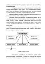 Prakses atskaite 'Darba aizsardzība uzņēmumā SIA "AIG"', 6.