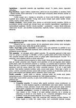 Referāts 'Atmiņa un uzmanība', 2.