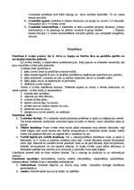 Referāts 'Atmiņa un uzmanība', 3.