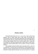 Referāts 'Budisms', 3.