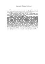 Referāts 'Zemgale', 9.