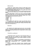 Referāts 'Zemgale', 16.