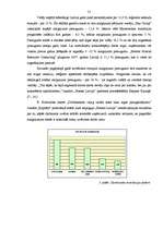 Diplomdarbs 'Cilvēkresursu organizācija mazā un vidējā kokapstrādes uzņēmumā', 31.