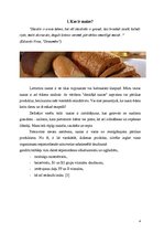 Referāts 'Tirgus izpēte “Hanzas maiznīcas” maizei', 4.