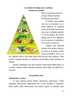 Referāts 'Tirgus izpēte “Hanzas maiznīcas” maizei', 14.